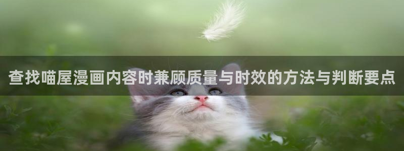 漫画免费在线看:查找喵屋漫画内容时兼顾质量与时效的方法与判断要点