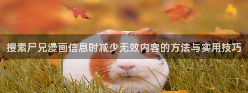 韩漫：搜索尸兄漫画信息时减少无效内容的方法与实用技巧